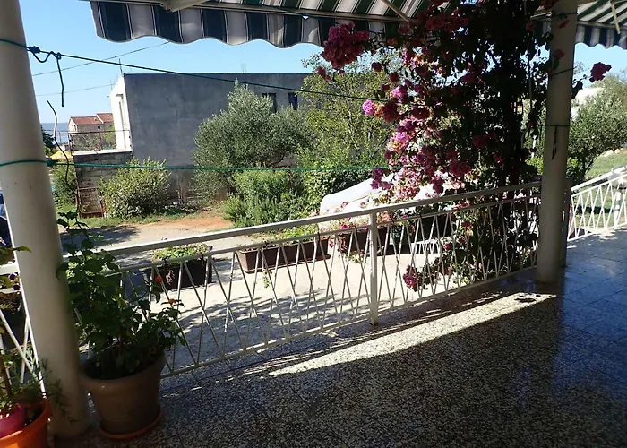 In Starigrad-paklenica 6861