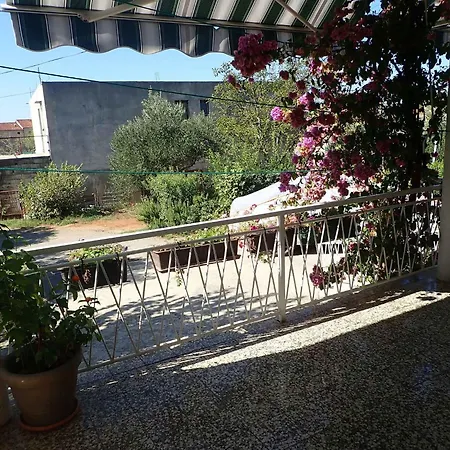 In Starigrad-paklenica 6861