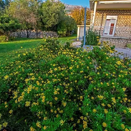 In Starigrad-paklenica 6861 Apartment